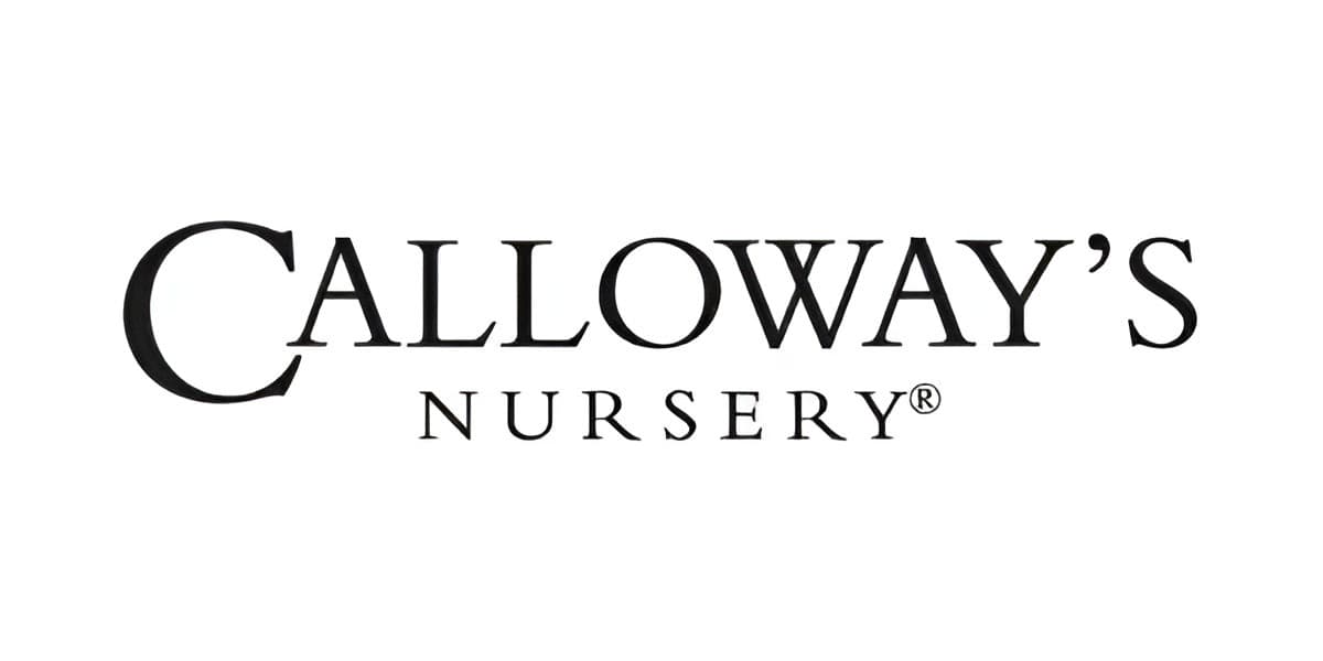 Calloway's