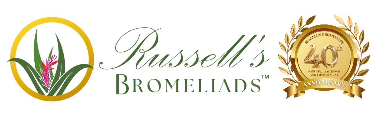 Russell's Bromeliads