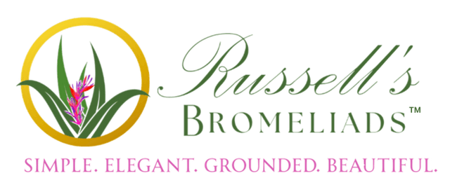 Russell's Bromeliads