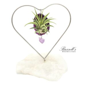 QUARTZ DESK HEART WITH AIR PLANT