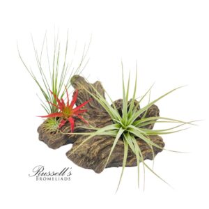 FAUX DRIFTWOOD GARDEN PLANTER WITH AIR PLANTS