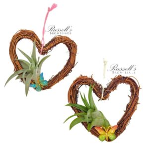 HEART WREATH - SPRING SET (UNTINTED)