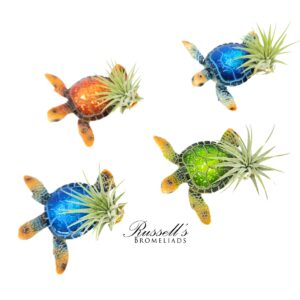 TURTLES WITH AIR PLANTS (MAGNET)