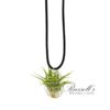 NECKLACE WITH AIR PLANTS