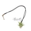 NECKLACE WITH AIR PLANTS - Image 2