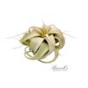 XEROGRAPHICA, 3-5"
