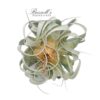 XEROGRAPHICA, 7" - 9" - Image 4
