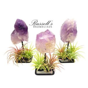 AMETHYST GEMSTONE ON STAND WITH AIR PLANT