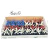 THE PATRIOTIC AIR PLANT COUNTER DISPLAY (32 PLANTS) - Image 3