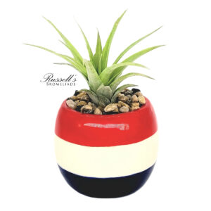 PATRIOTIC POTS WITH AIR PLANTS