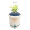 WINTER WONDERLAND COLLECTION WITH AIR PLANTS - Image 2