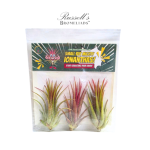 MIGHTY IONANTHA PACK