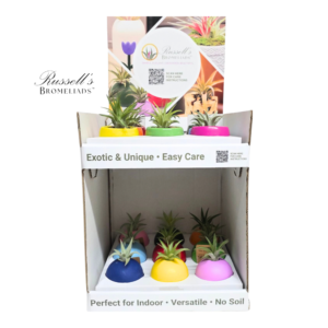 BRIGHT 2-TIER COUNTER DISPLAY