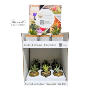 COZY 2-TIER COUNTER DISPLAY