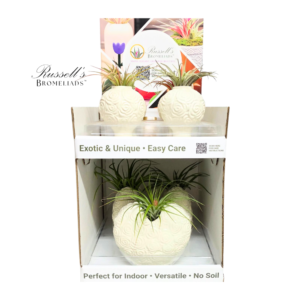 EMBRACE 2-TIER COUNTER DISPLAY