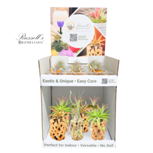 FAVORITES 2-TIER COUNTER DISPLAY