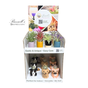 MODERN 2-TIER COUNTER DISPLAY