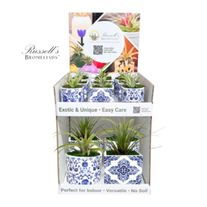 ROYAL 2-TIER COUNTER DISPLAY