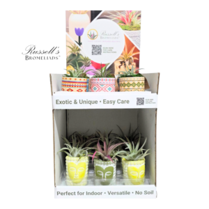 TRIBAL 2-TIER COUNTER DISPLAY