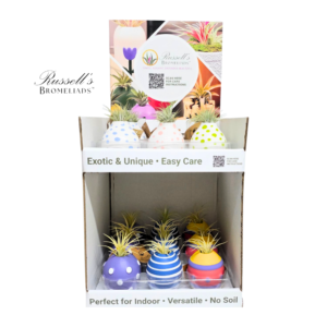 WHIMSY 2-TIER COUNTER DISPLAY